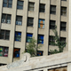 Image for article titled The Feral Factories Of Detroit